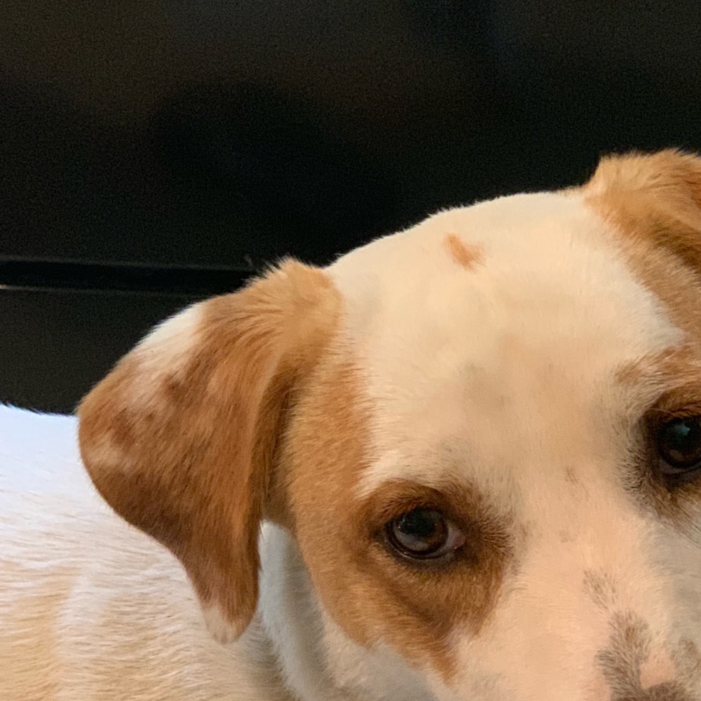 Meet your Posher, Mo